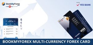 Everything You Should Know About Add-on Forex Cards